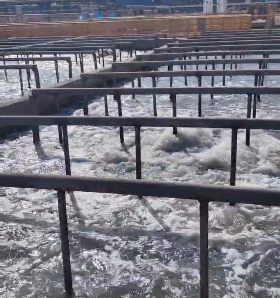 微信截圖_20230330112140.jpg 微信截圖_20230330112140.jpg